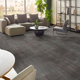 Philadelphia Commercial Carpet Tile
Visibility